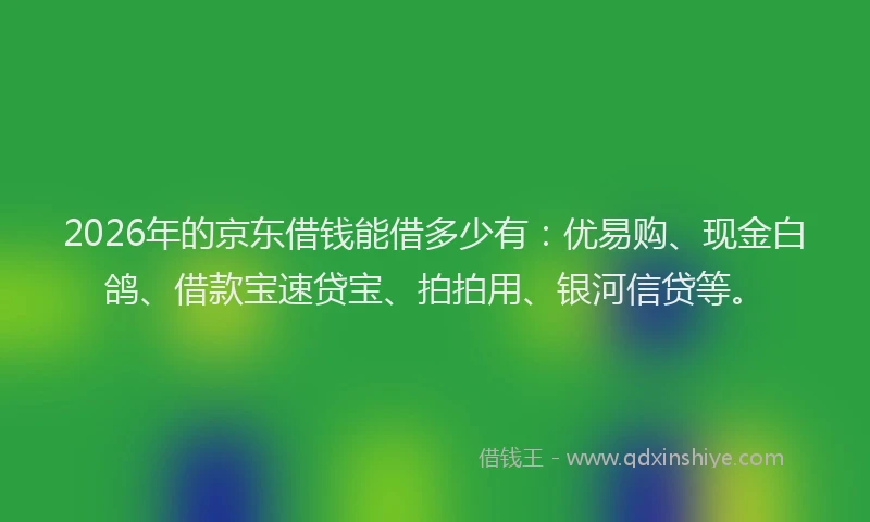 2026年的京东借钱能借多少有:优易购、现金白鸽、借款宝速贷宝、拍拍用、银河信贷等。