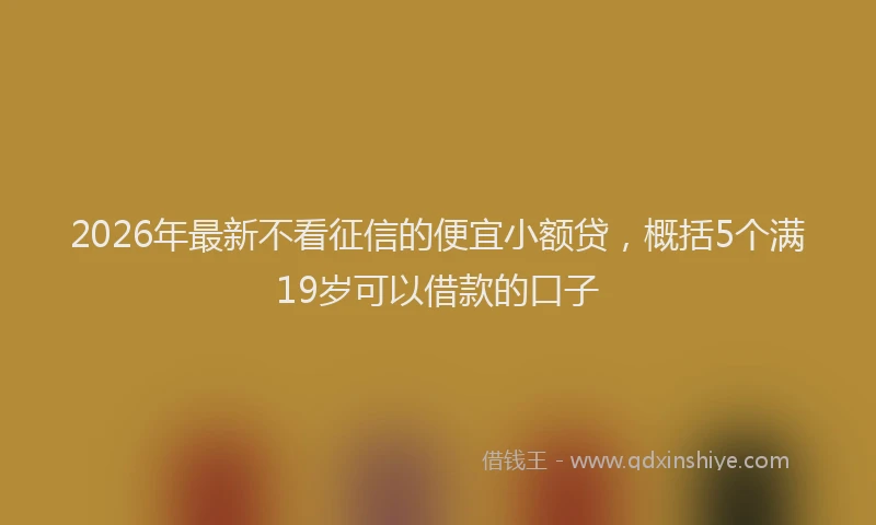 2026年最新不看征信的便宜小额贷，概括5个满19岁可以借款的口子