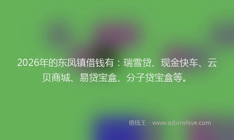 2026年的东凤镇借钱有:瑞雪贷、现金快车、云贝商城、易贷宝盒、分子贷宝盒等。
