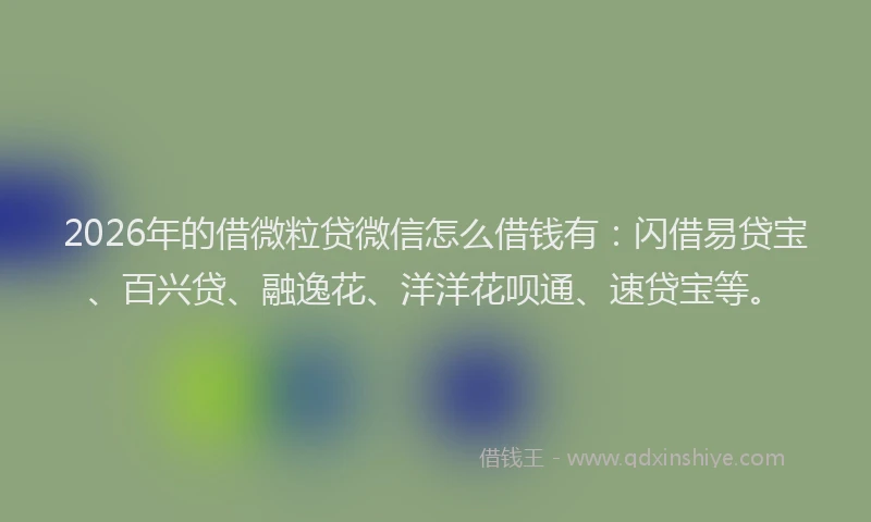 2026年的借微粒贷微信怎么借钱有：闪借易贷宝、百兴贷、融逸花、洋洋花呗通、速贷宝等。