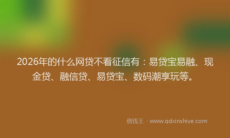 2026年的什么网贷不看征信有：易贷宝易融、现金贷、融信贷、易贷宝、数码潮享玩等。