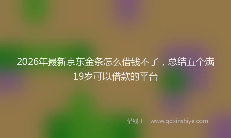 2026年最新京东金条怎么借钱不了，总结五个满19岁可以借款的平台