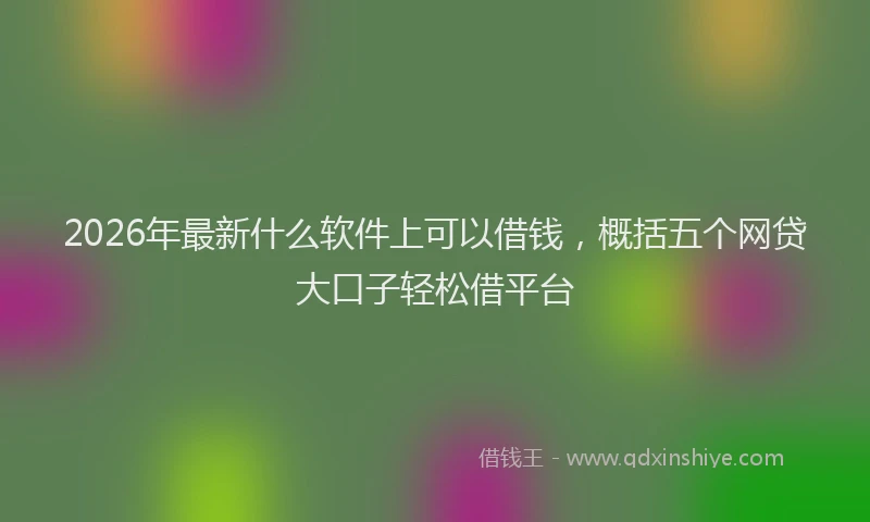 2026年最新什么软件上可以借钱,概括五个网贷大口子轻松借平台