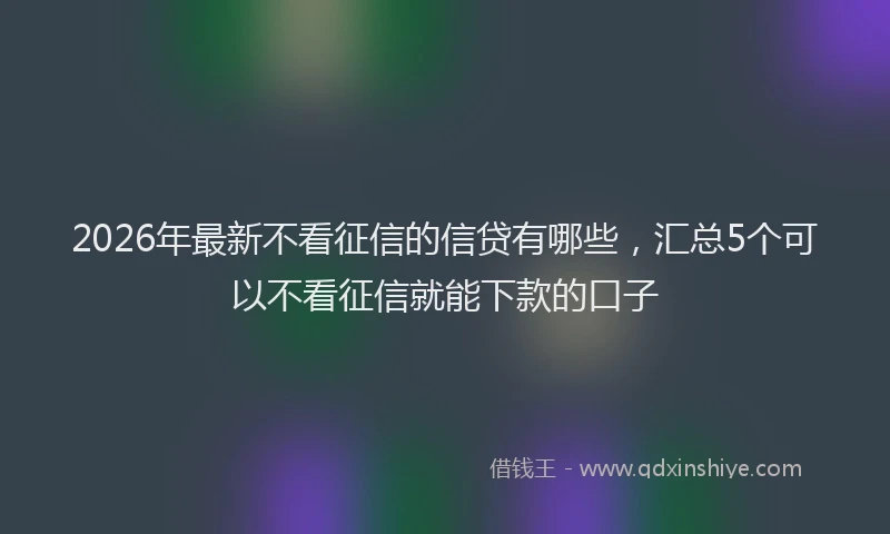 2026年最新不看征信的信贷有哪些，汇总5个可以不看征信就能下款的口子
