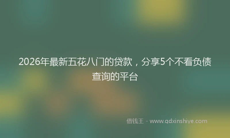 2026年最新五花八门的贷款，分享5个不看负债查询的平台