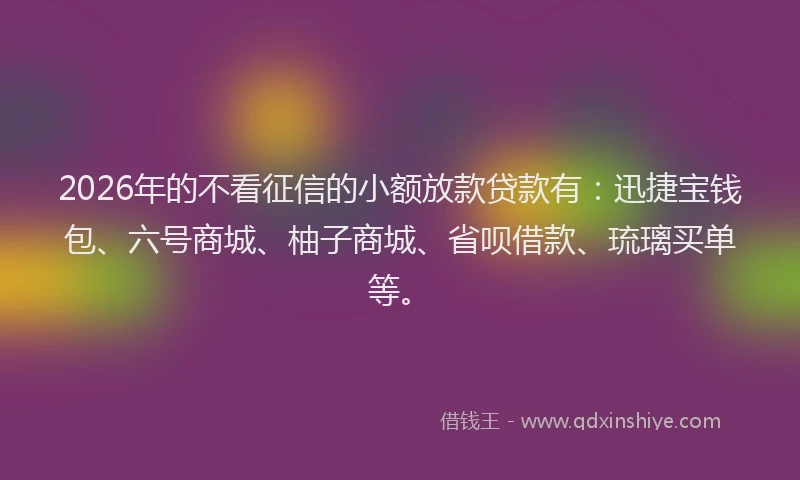 2026年的不看征信的小额放款贷款有：迅捷宝钱包、六号商城、柚子商城、省呗借款、琉璃买单等。