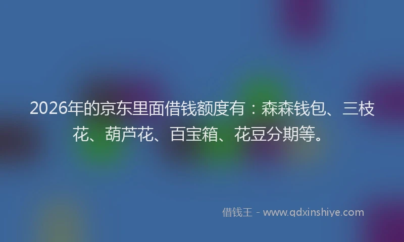 2026年的京东里面借钱额度有：森森钱包、三枝花、葫芦花、百宝箱、花豆分期等。