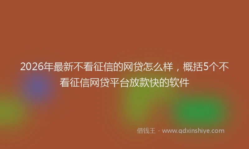 2026年最新不看征信的网贷怎么样,概括5个不看征信网贷平台放款快的软件