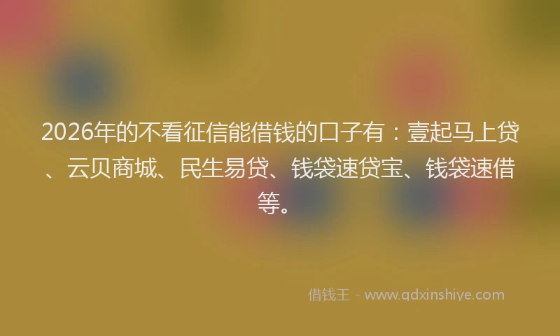 2026年的不看征信能借钱的口子有：壹起马上贷、云贝商城、民生易贷、钱袋速贷宝、钱袋速借等。