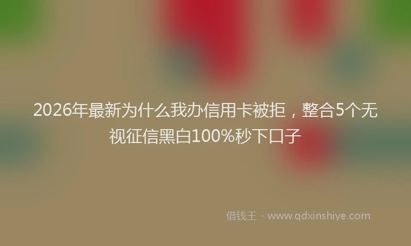 2026年最新为什么我办信用卡被拒，整合5个无视征信黑白100%秒下口子