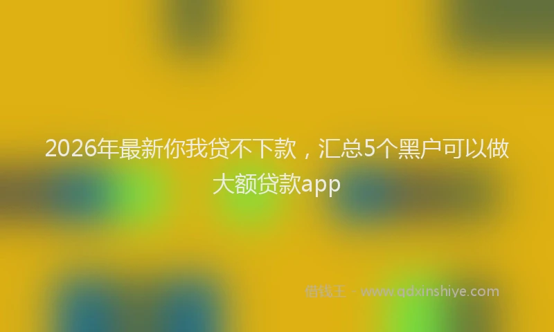 2026年最新你我贷不下款，汇总5个黑户可以做大额贷款app