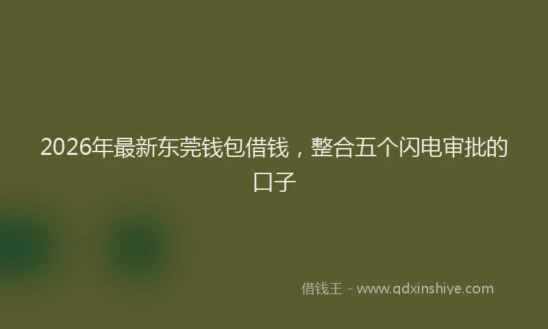 2026年最新东莞钱包借钱，整合五个闪电审批的口子