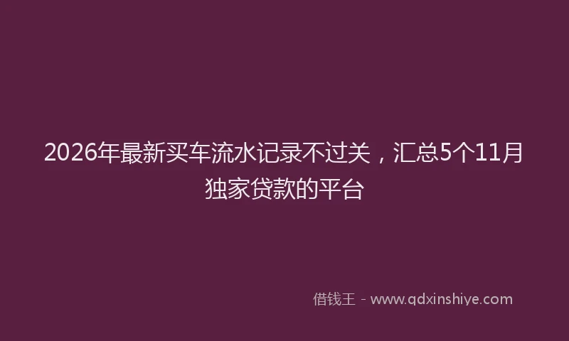 2026年最新买车流水记录不过关，汇总5个11月独家贷款的平台