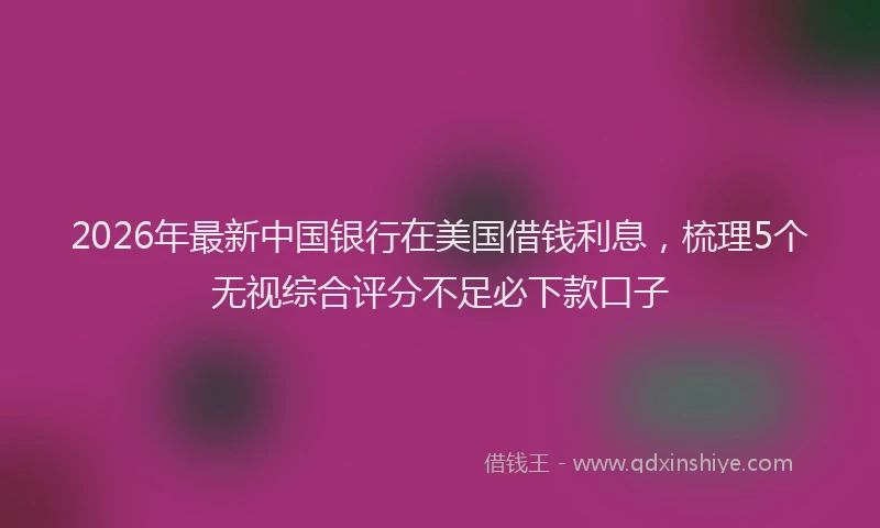 2026年最新中国银行在美国借钱利息，梳理5个无视综合评分不足必下款口子