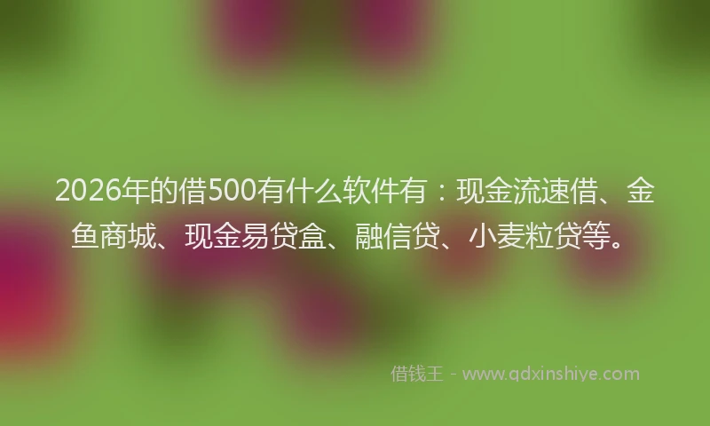 2026年的借500有什么软件有：现金流速借、金鱼商城、现金易贷盒、融信贷、小麦粒贷等。