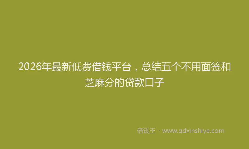 2026年最新低费借钱平台，总结五个不用面签和芝麻分的贷款口子