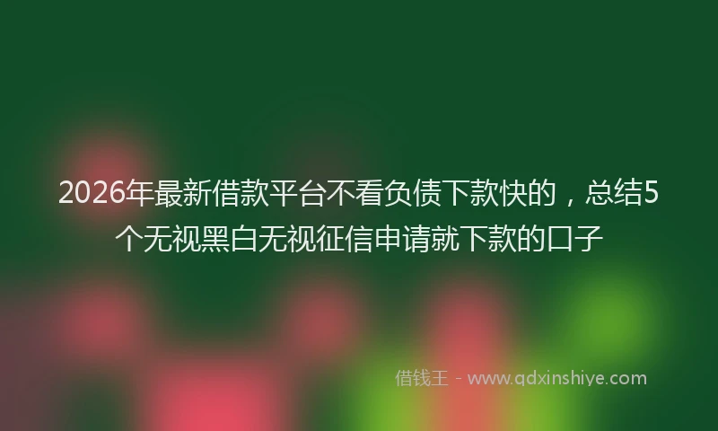 2026年最新借款平台不看负债下款快的，总结5个无视黑白无视征信申请就下款的口子