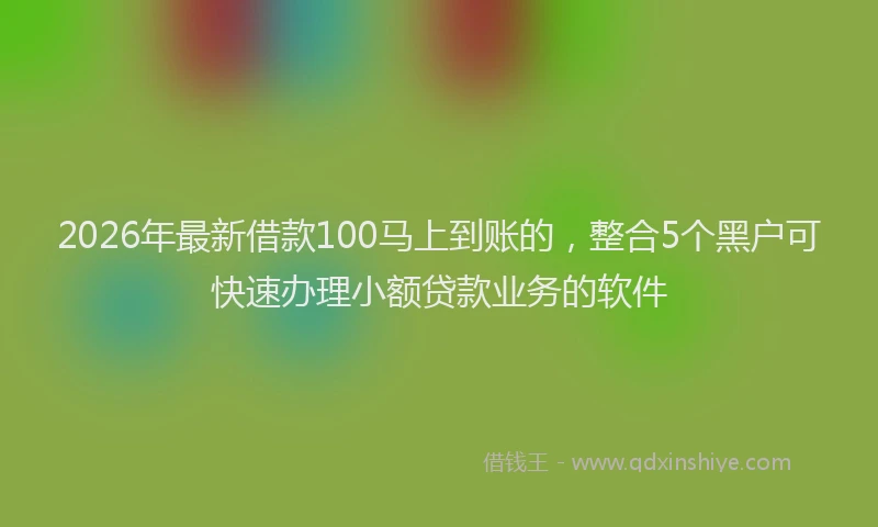 2026年最新借款100马上到账的,整合5个黑户可快速办理小额贷款业务的软件