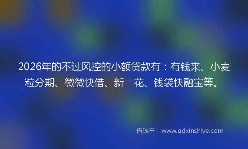 2026年的不过风控的小额贷款有：有钱来、小麦粒分期、微微快借、新一花、钱袋快融宝等。