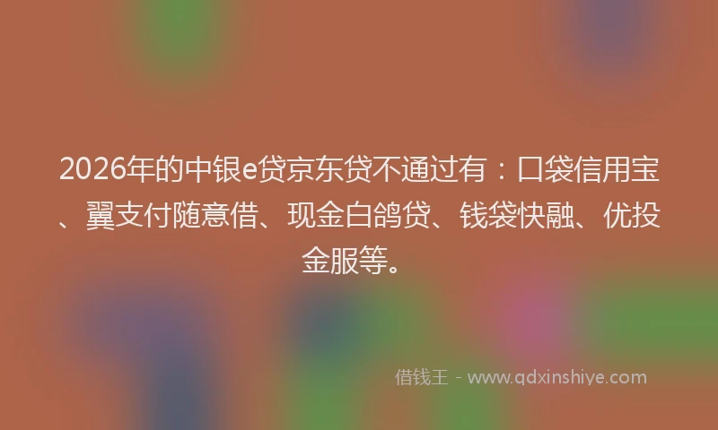 2026年的中银e贷京东贷不通过有:口袋信用宝、翼支付随意借、现金白鸽贷、钱袋快融、优投金服等。