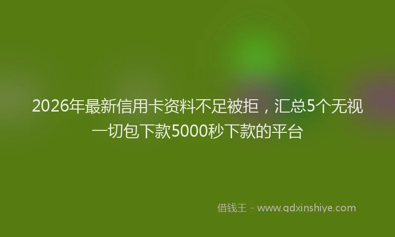 2026年最新信用卡资料不足被拒，汇总5个无视一切包下款5000秒下款的平台