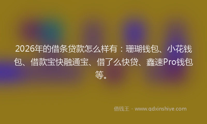 2026年的借条贷款怎么样有：珊瑚钱包、小花钱包、借款宝快融通宝、借了么快贷、鑫速Pro钱包等。