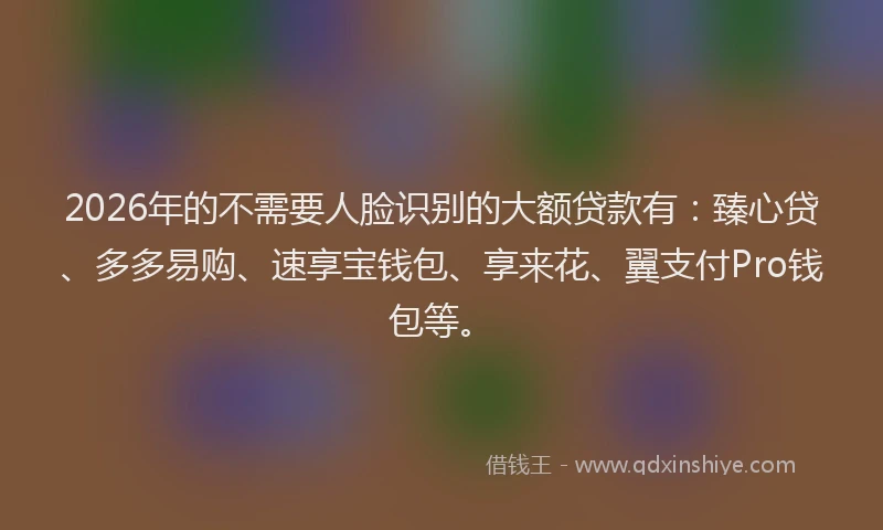2026年的不需要人脸识别的大额贷款有：臻心贷、多多易购、速享宝钱包、享来花、翼支付Pro钱包等。
