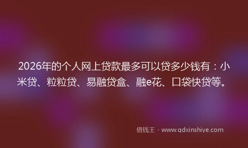 2026年的个人网上贷款最多可以贷多少钱有：小米贷、粒粒贷、易融贷盒、融e花、口袋快贷等。