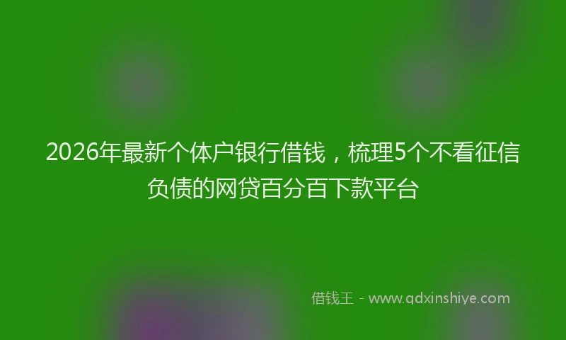 2026年最新个体户银行借钱,梳理5个不看征信负债的网贷百分百下款平台