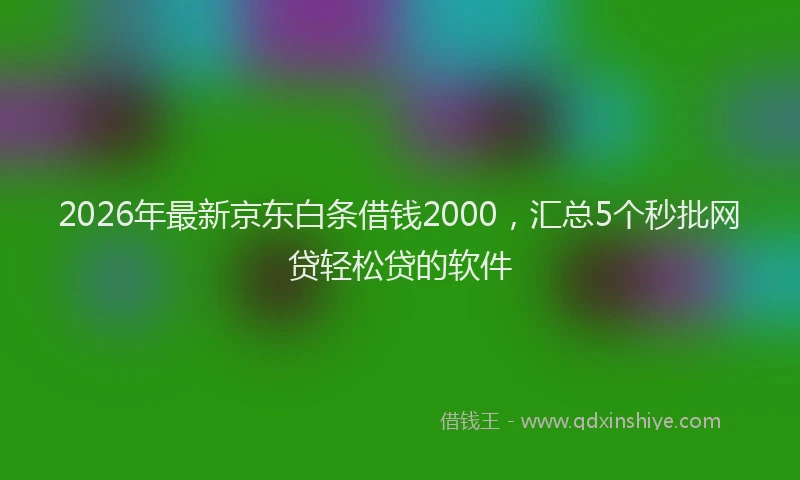 2026年最新京东白条借钱2000，汇总5个秒批网贷轻松贷的软件