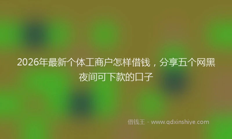 2026年最新个体工商户怎样借钱，分享五个网黑夜间可下款的口子