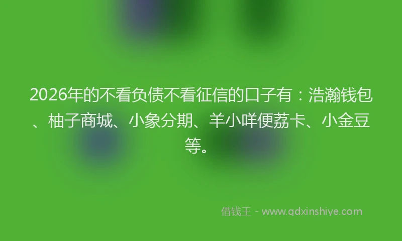 2026年的不看负债不看征信的口子有：浩瀚钱包、柚子商城、小象分期、羊小咩便荔卡、小金豆等。