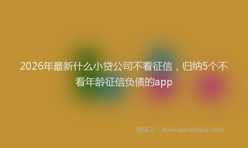 2026年最新什么小贷公司不看征信，归纳5个不看年龄征信负债的app