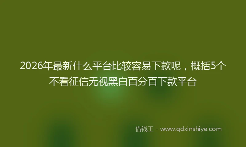 2026年最新什么平台比较容易下款呢，概括5个不看征信无视黑白百分百下款平台