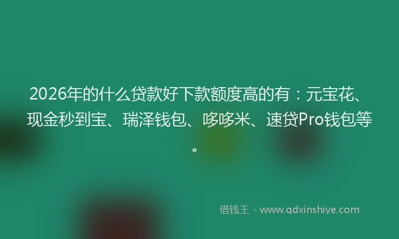 2026年的什么贷款好下款额度高的有:元宝花、现金秒到宝、瑞泽钱包、哆哆米、速贷Pro钱包等。