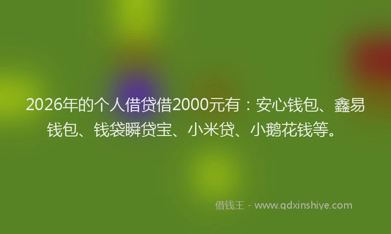 2026年的个人借贷借2000元有:安心钱包、鑫易钱包、钱袋瞬贷宝、小米贷、小鹅花钱等。