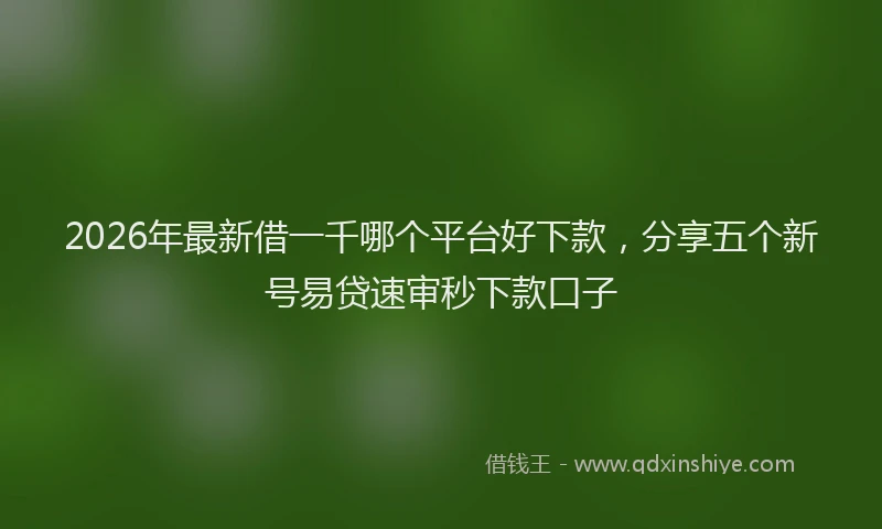 2026年最新借一千哪个平台好下款,分享五个新号易贷速审秒下款口子