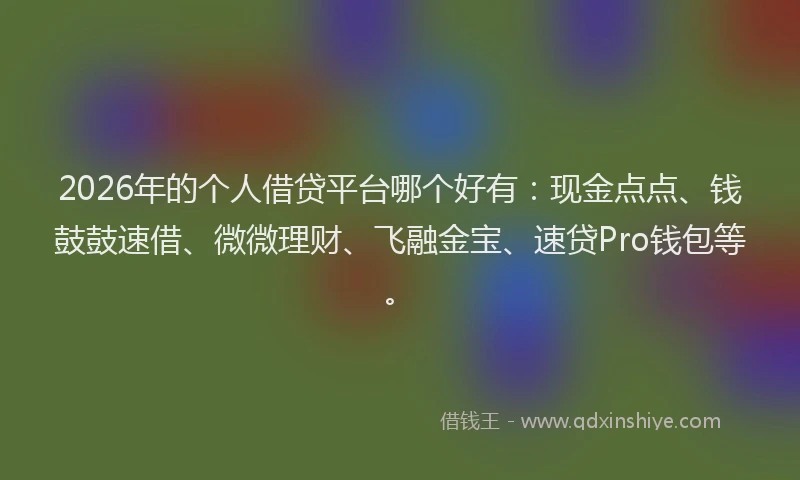 2026年的个人借贷平台哪个好有：现金点点、钱鼓鼓速借、微微理财、飞融金宝、速贷Pro钱包等。