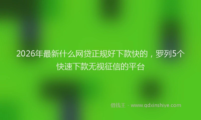 2026年最新什么网贷正规好下款快的，罗列5个快速下款无视征信的平台
