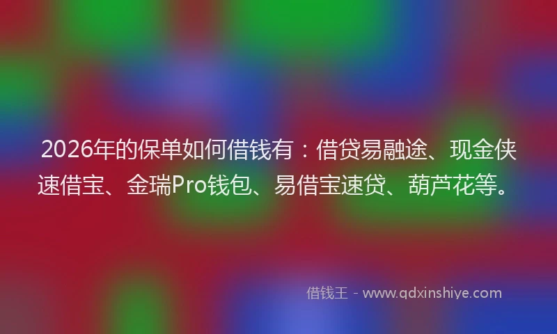 2026年的保单如何借钱有:借贷易融途、现金侠速借宝、金瑞Pro钱包、易借宝速贷、葫芦花等。