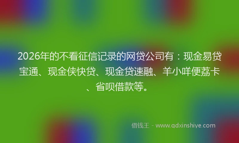 2026年的不看征信记录的网贷公司有：现金易贷宝通、现金侠快贷、现金贷速融、羊小咩便荔卡、省呗借款等。