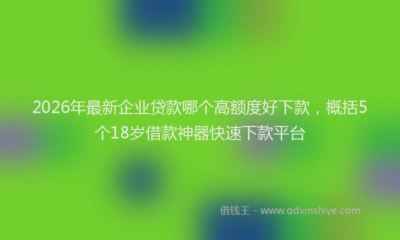 2026年最新企业贷款哪个高额度好下款,概括5个18岁借款神器快速下款平台