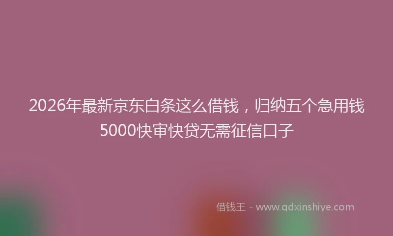 2026年最新京东白条这么借钱，归纳五个急用钱5000快审快贷无需征信口子