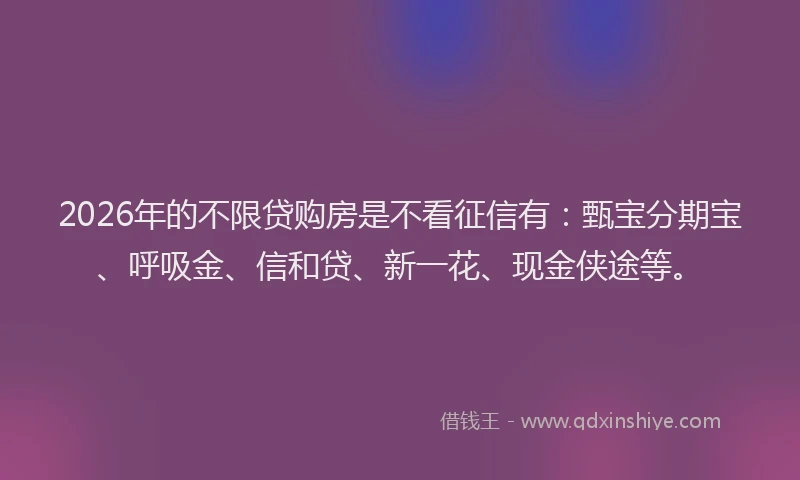 2026年的不限贷购房是不看征信有：甄宝分期宝、呼吸金、信和贷、新一花、现金侠途等。