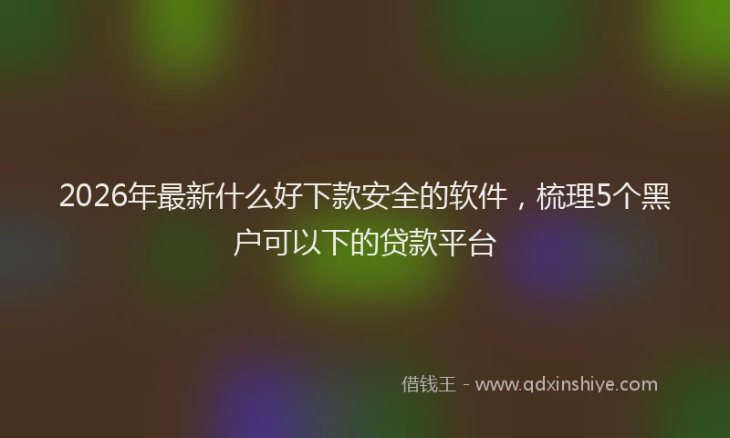 2026年最新什么好下款安全的软件，梳理5个黑户可以下的贷款平台