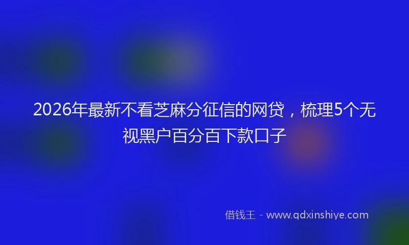 2026年最新不看芝麻分征信的网贷,梳理5个无视黑户百分百下款口子