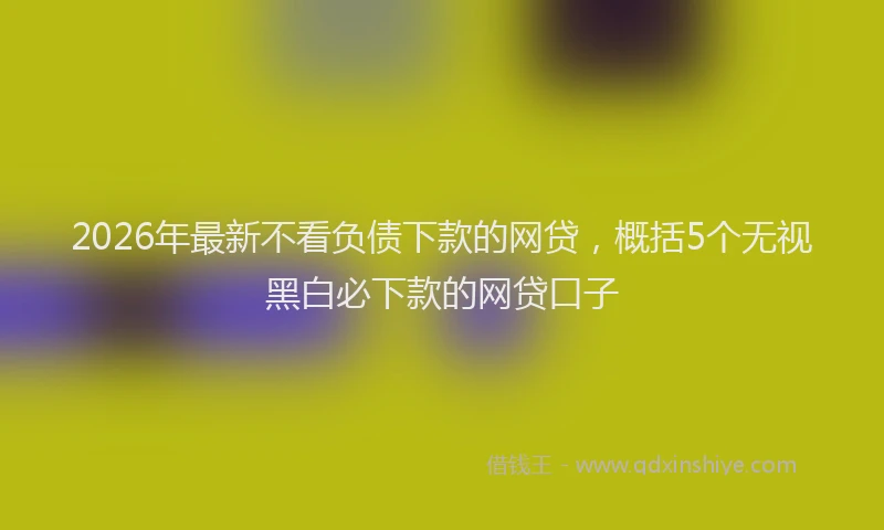 2026年最新不看负债下款的网贷,概括5个无视黑白必下款的网贷口子