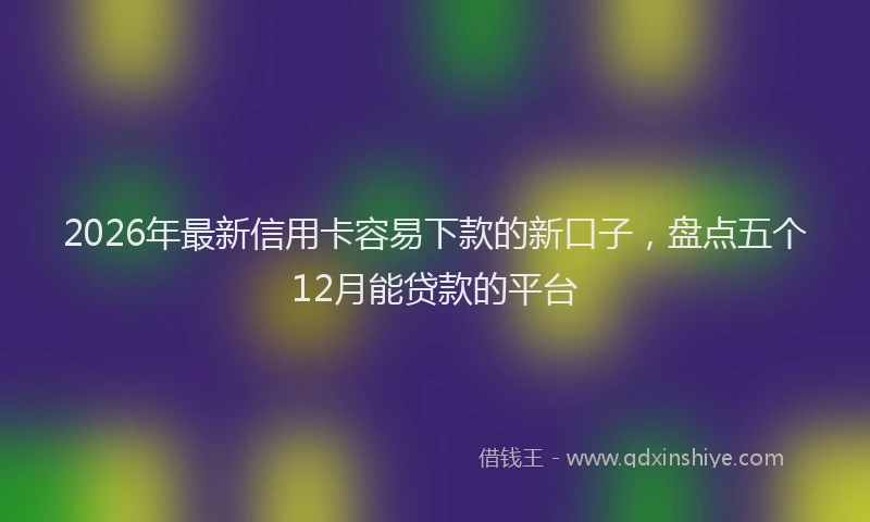 2026年最新信用卡容易下款的新口子，盘点五个12月能贷款的平台