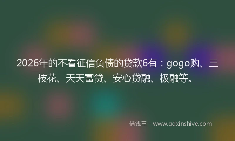 2026年的不看征信负债的贷款6有：gogo购、三枝花、天天富贷、安心贷融、极融等。