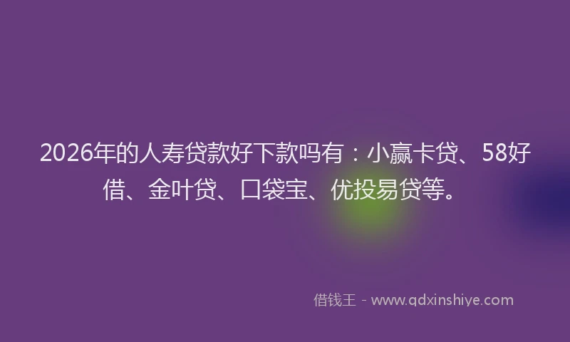 2026年的人寿贷款好下款吗有:小赢卡贷、58好借、金叶贷、口袋宝、优投易贷等。